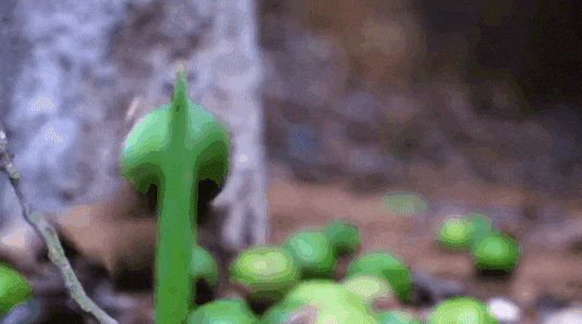 nuA1749200770VjoBkQ.gif