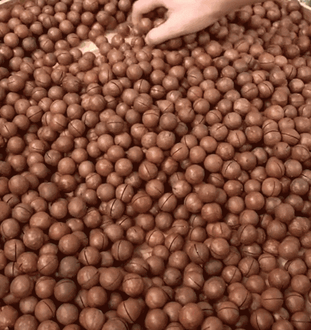 hcO1749200777PNDmZT.gif